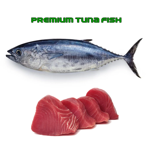 Tuna Fish টুনা মাছ