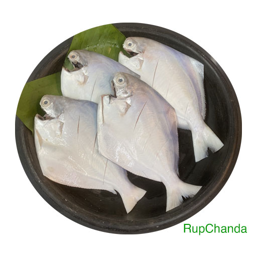 Rupchanda সামুদ্রিক রূপচাঁদা ৬-৮ পিসে কেজি