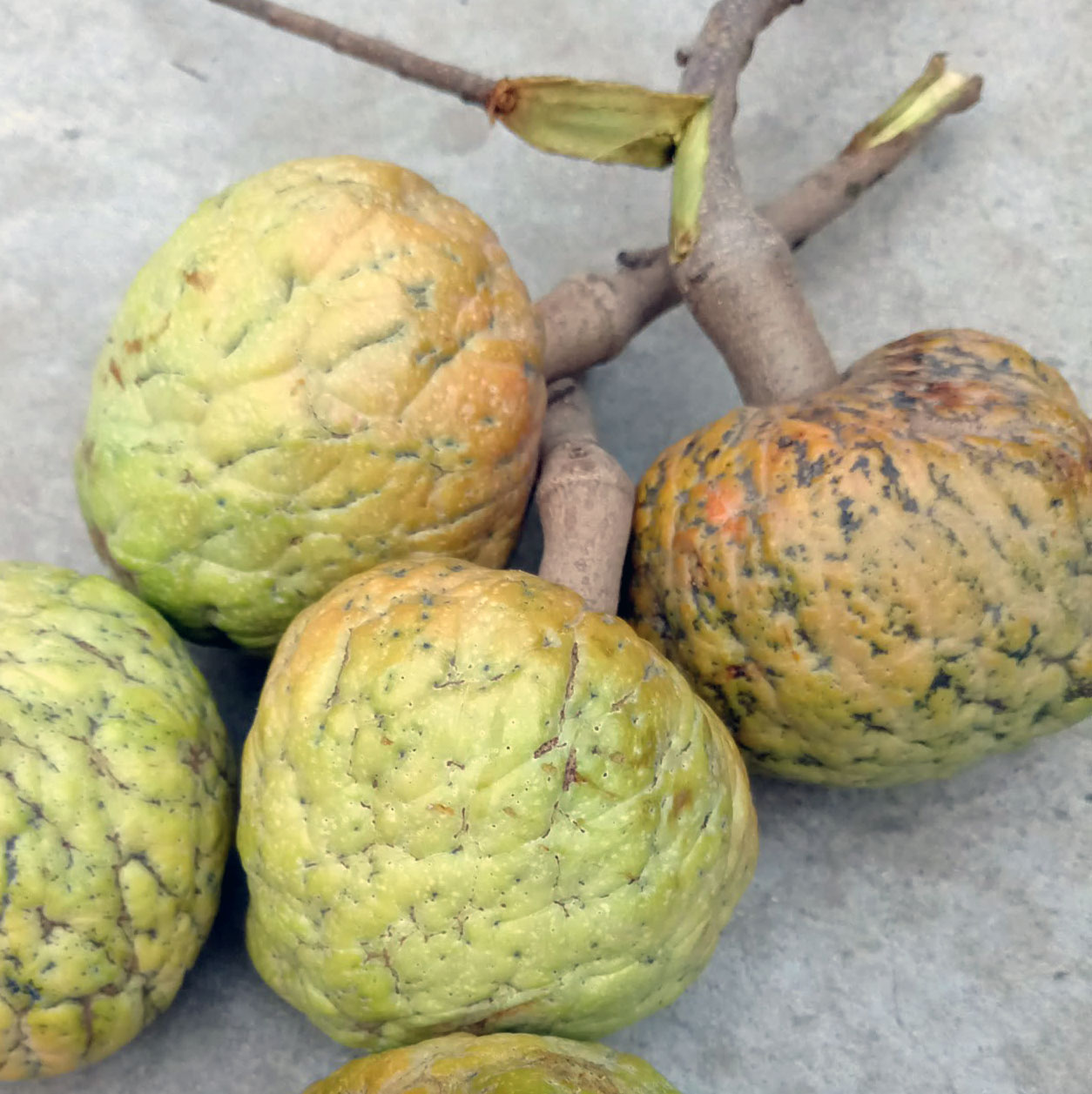 দেশী ন্যাচারাল আতাফল