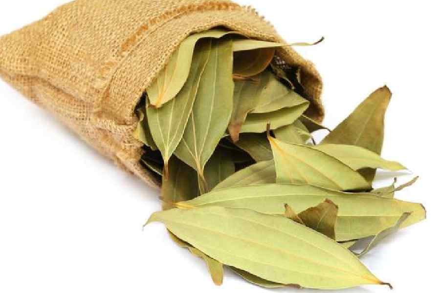 ছাতকের লোকাল তেজপাতা
